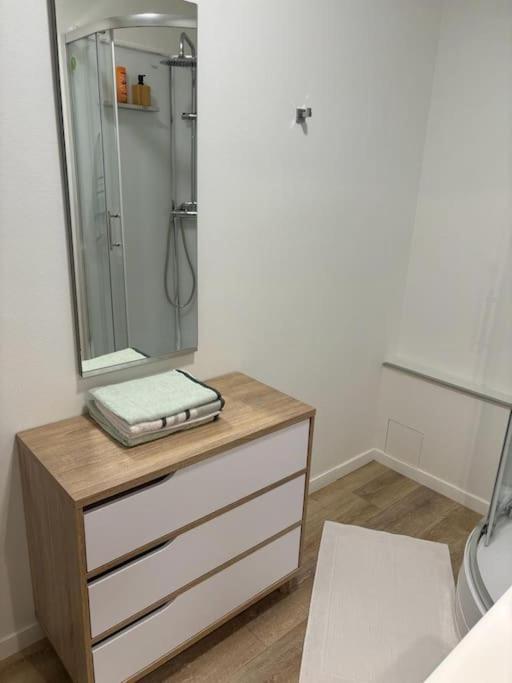 Apartamento T3 Pied De La Gare + Centre Commercial Inclus Orléans