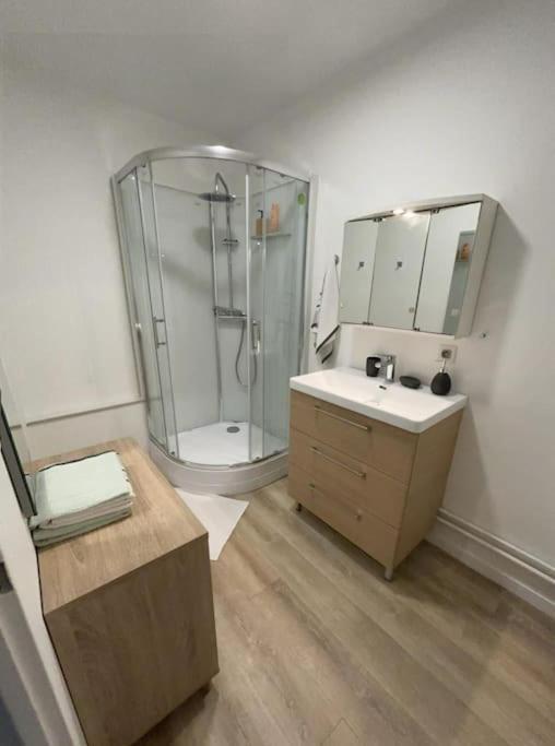 T3 Pied De La Gare + Centre Commercial Inclus *